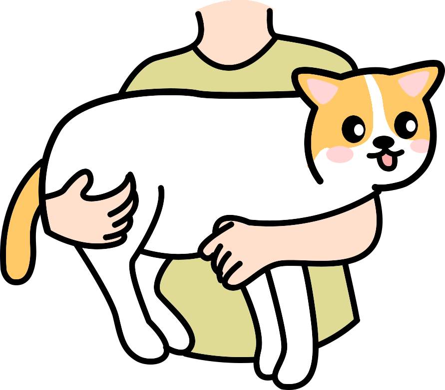 人用消毒剂对狗危害