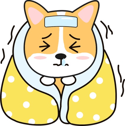 狗狗感冒了吃什么药?
