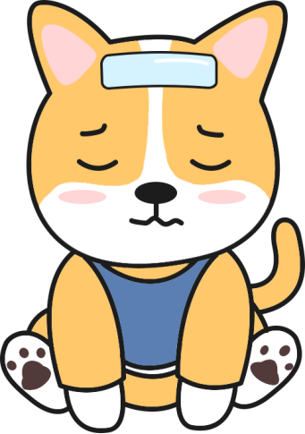 狗狗感冒了怎么办?
