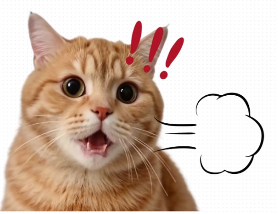 猫咪感冒打喷嚏怎么办?