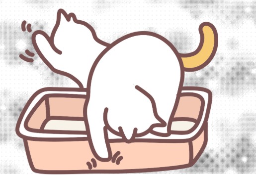猫咪打喷嚏是什么怎么回事?