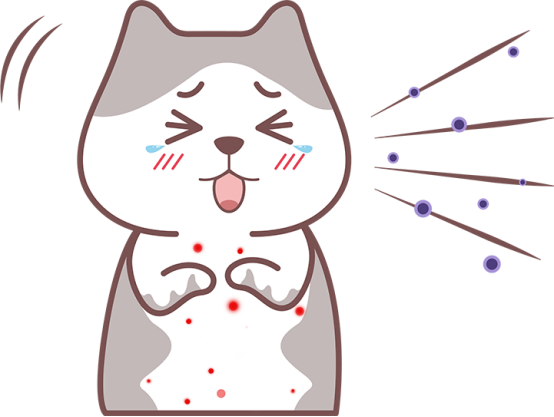 小猫总打喷嚏怎么办