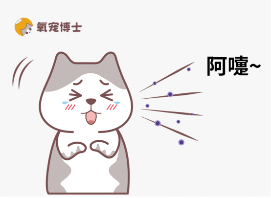 猫咪打喷嚏原因全解析：从生理现象到疾病隐患的应对指南