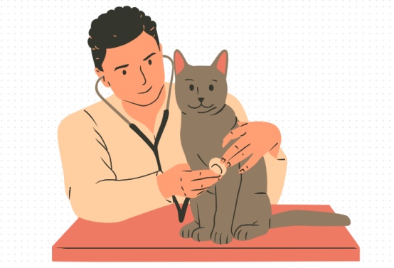 猫咪嗓子哑了怎么办?