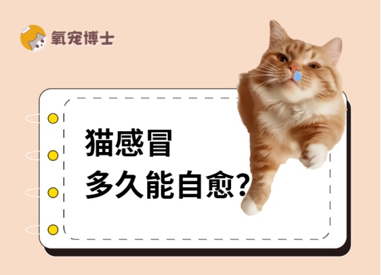 猫感冒一般几天自愈?