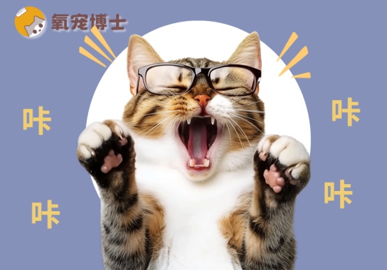 猫咪咳嗽嗓子哑了怎么办?