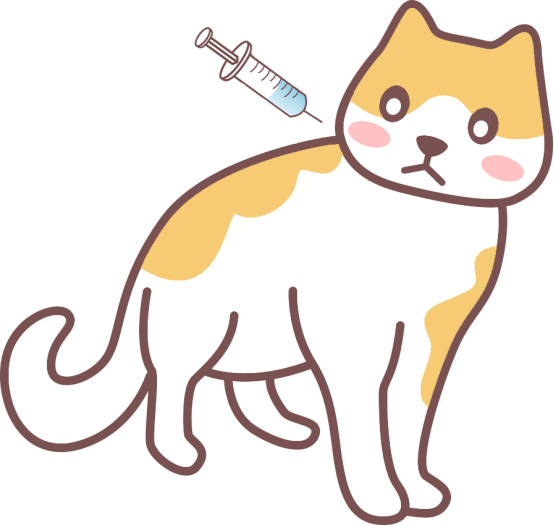 猫咪咳嗽嗓子哑了怎么治疗?
