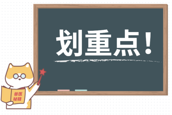 猫黑下巴怎么治？