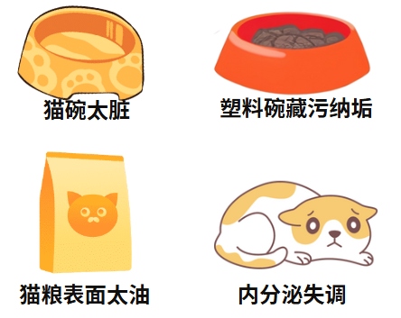 猫黑下巴