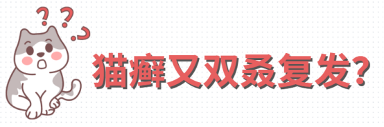 猫癣复发怎么办?