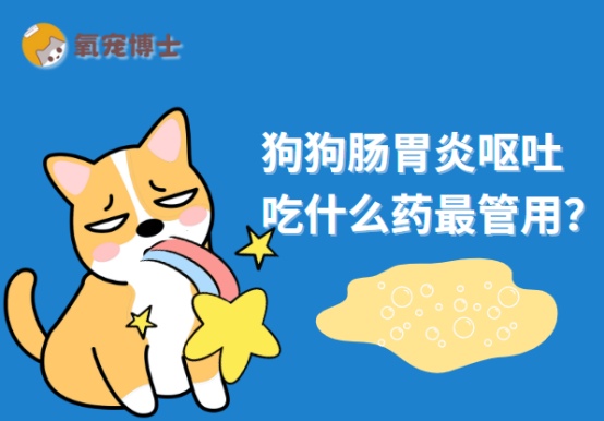 狗狗肠胃炎呕吐吃什么药最管用?