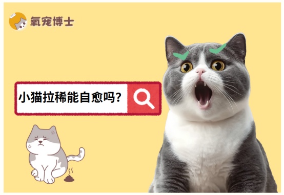 小猫拉稀多久能自愈，什么情况下必须就医