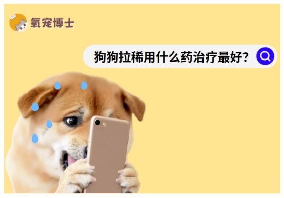 狗狗拉稀怎么用药治疗，90%情况在家即可解决