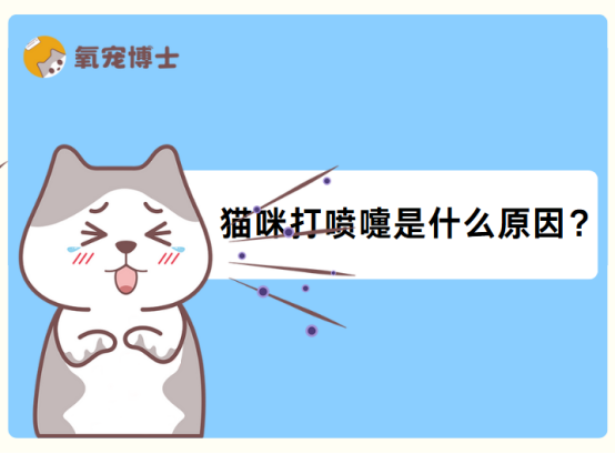 猫咪打喷嚏原因全解析：如何正确区分和处理