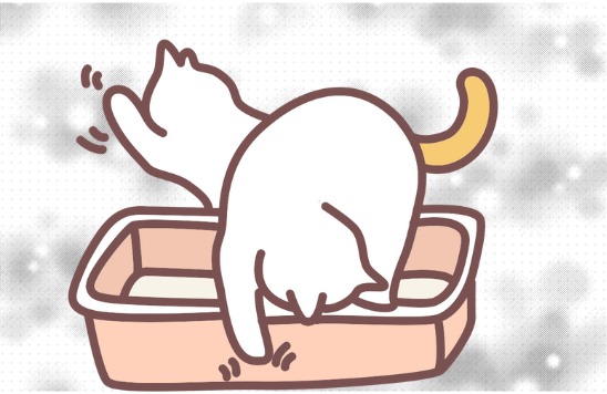猫咪打喷嚏怎么回事？