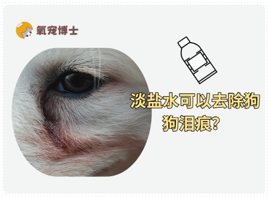 狗狗泪痕用淡盐水擦