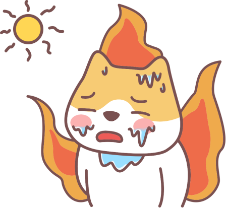 幼猫上火