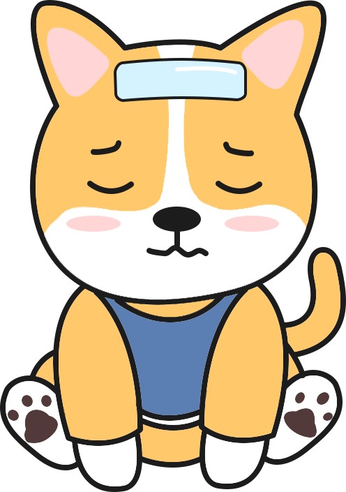 狗狗感冒