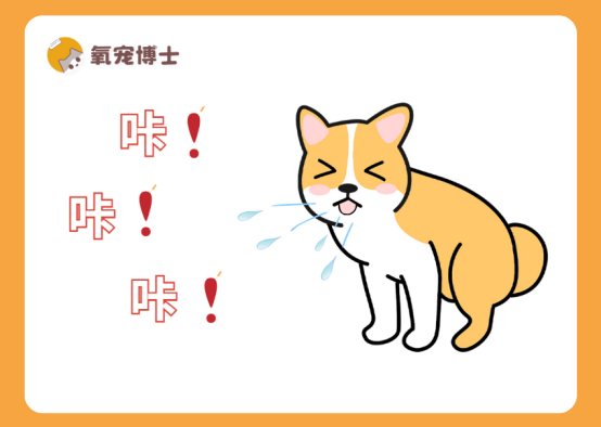 老狗狗一直咳嗽怎么回事?