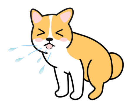 狗狗感冒