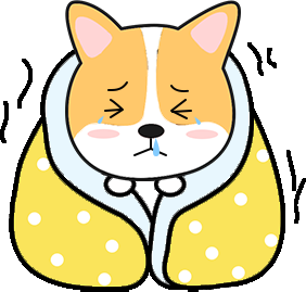 狗狗感冒症状