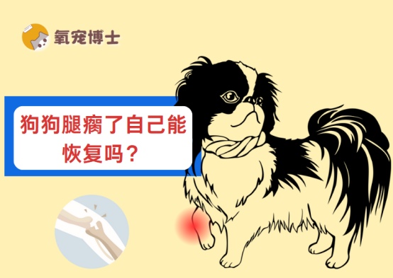 狗狗腿瘸了自己能恢复吗?