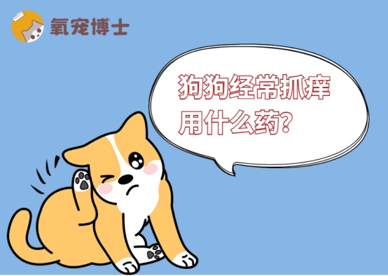 狗狗经常抓痒用什么药