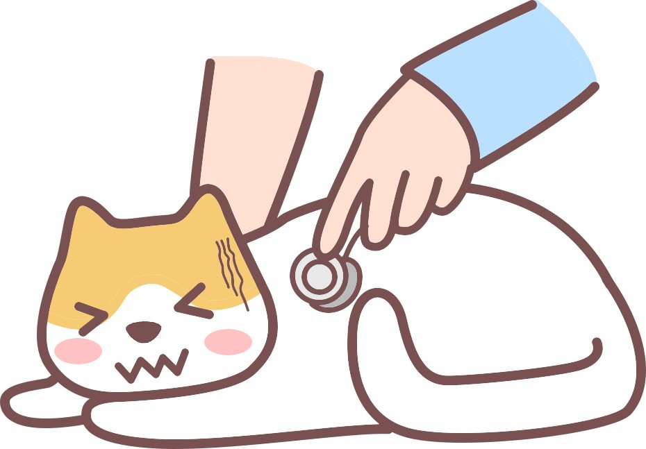 猫咪甲状腺
