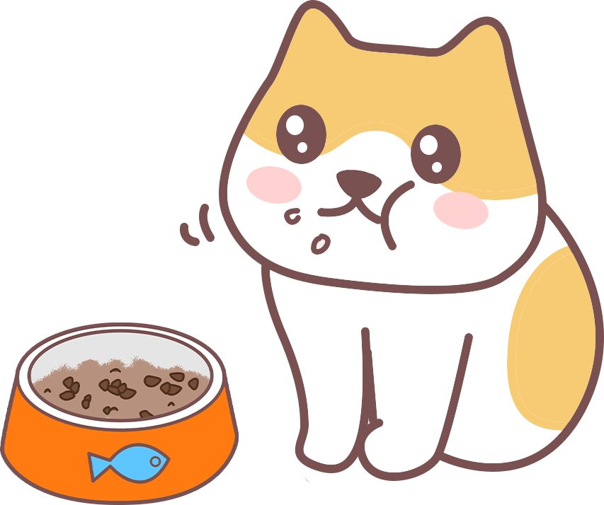 猫咪美毛营养