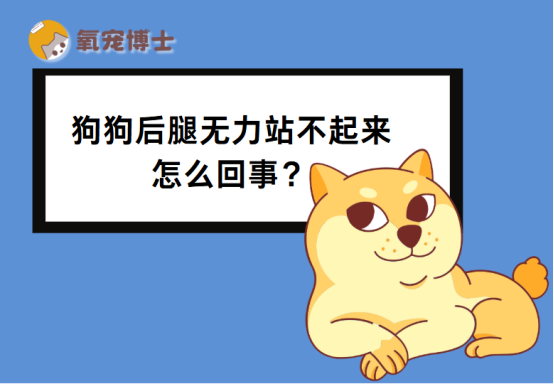 狗狗突然后腿无力站不起来原因分析及急救处理方法