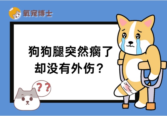 狗狗腿瘸无外伤？5大隐藏病因及科学应对方法