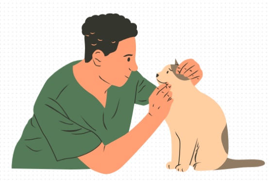 猫咪把皮肤抓破了怎么办？