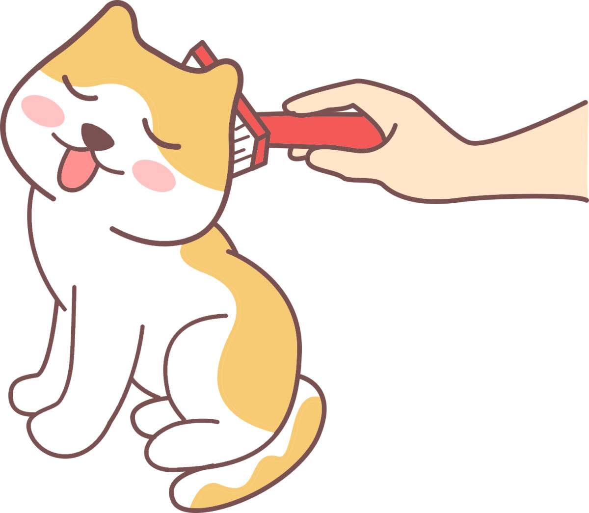 猫咪梳毛的好处