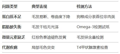 泰迪犬毛色暗淡怎么办？5种黄金美毛食物重现丝绒质感