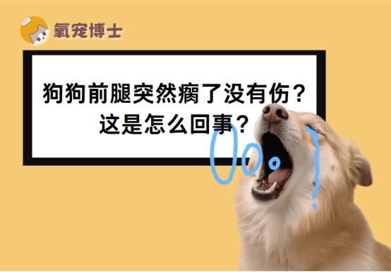 狗狗前腿突然瘸了没有伤怎么回事?