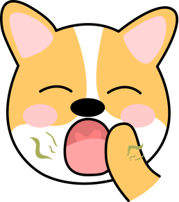 狗狗不吃东西怎么办？