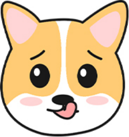 狗狗不吃东西