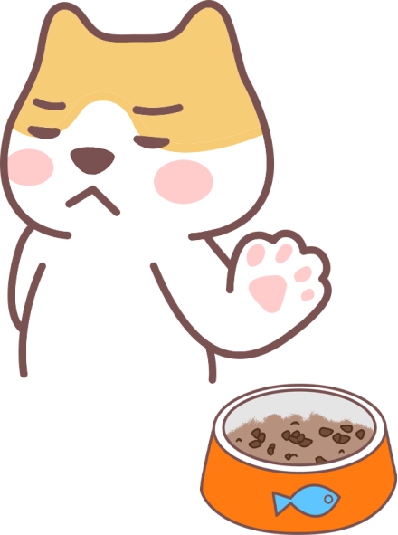 猫不吃东西怎么回事?