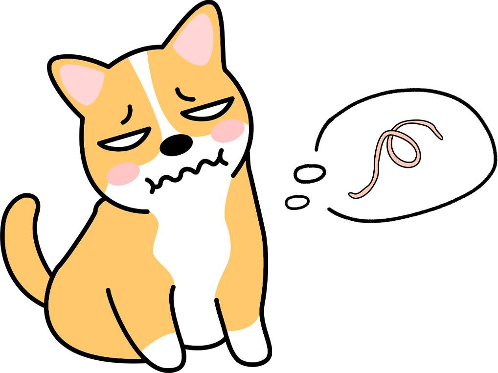 狗狗体内寄生虫