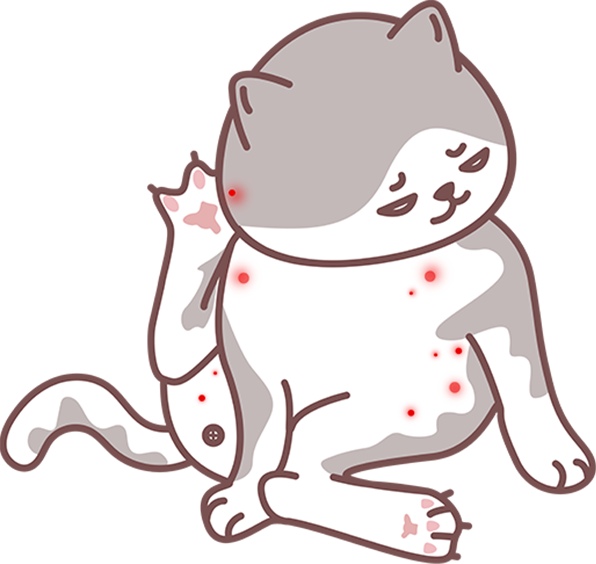 猫咪皮肤病