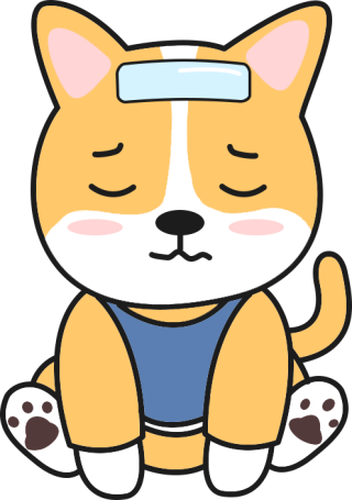 狗狗感冒怎么处理？