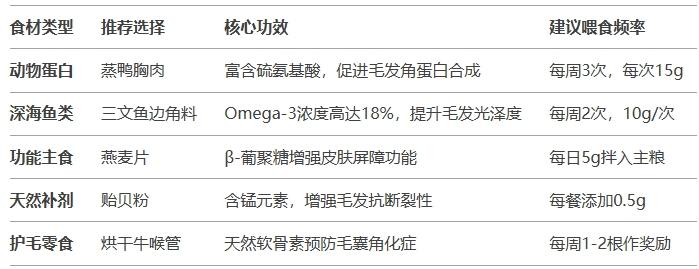 泰迪美毛食物