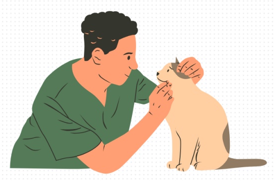 猫咪得了猫癣怎么办?