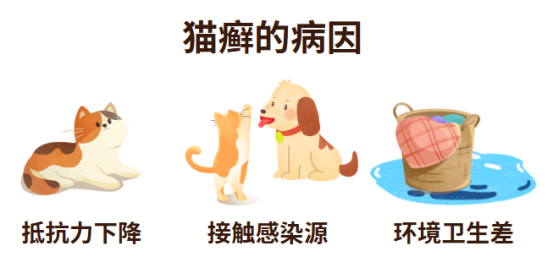 猫癣能自愈吗?