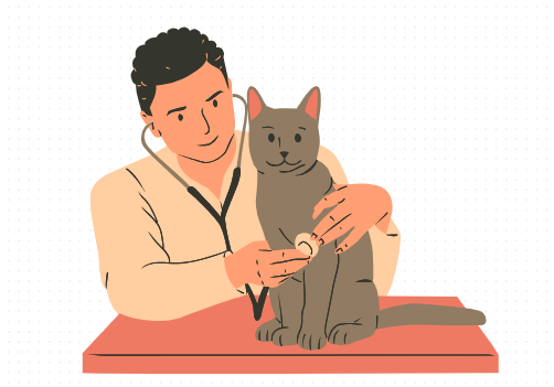 猫鼻支疱疹病毒怎么治?