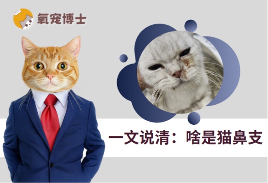 啥是猫鼻支?