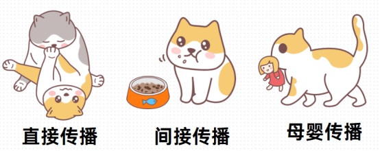 猫鼻支