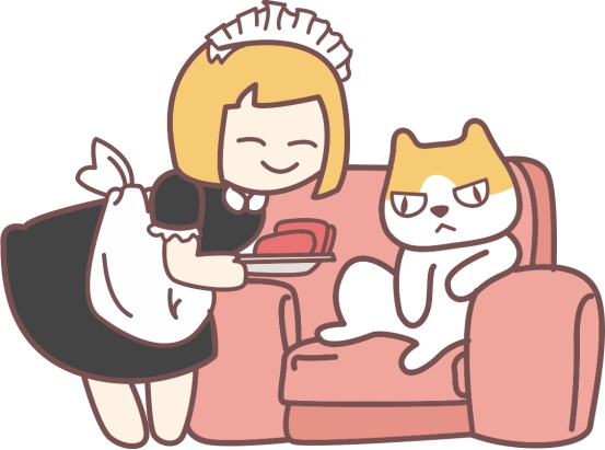 猫鼻支在家治疗步骤