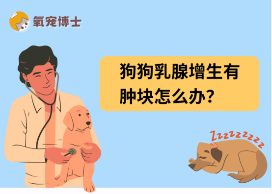 狗狗乳腺增生有肿块怎么办？原因症状及治疗全攻略