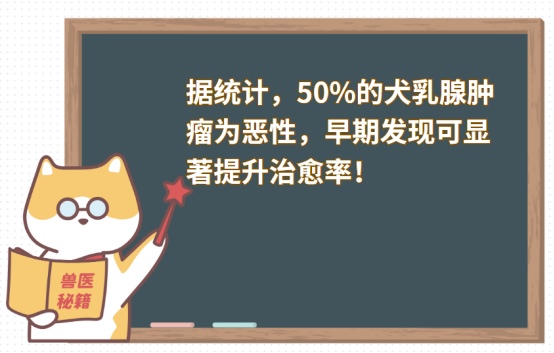 狗狗乳腺增生有肿块